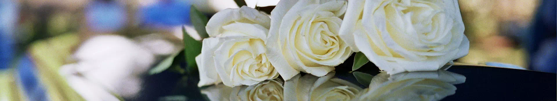 białe róże na trumnie