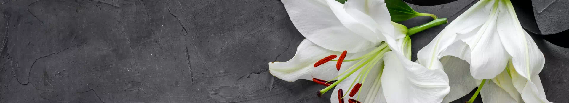 biała lilia na marmurowym tle